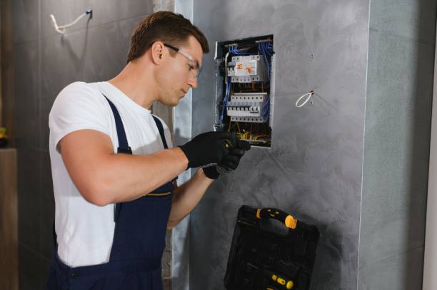 Best Electrical System Inspection  in Ash Grove, MO